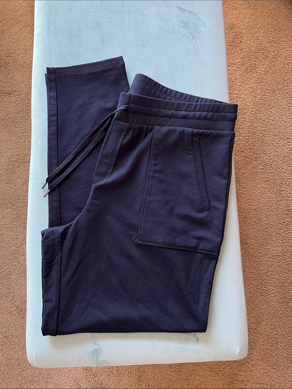 NWT T by Talbots ankle pant, size L